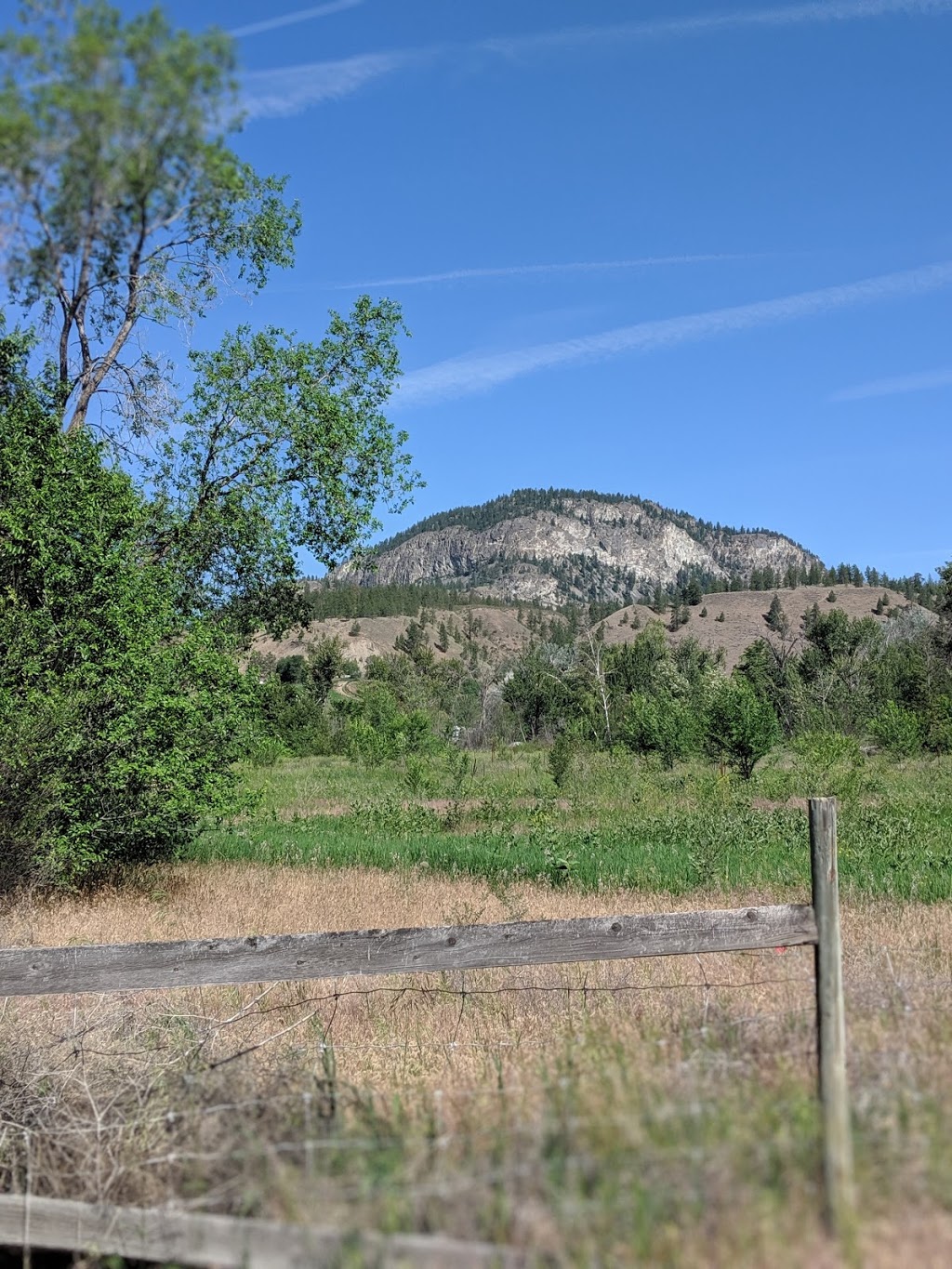 Inkaneep Provincial Park | 109 Campsite Rd, Oliver, BC V0H 1T0, Canada | Phone: (250) 548-0076