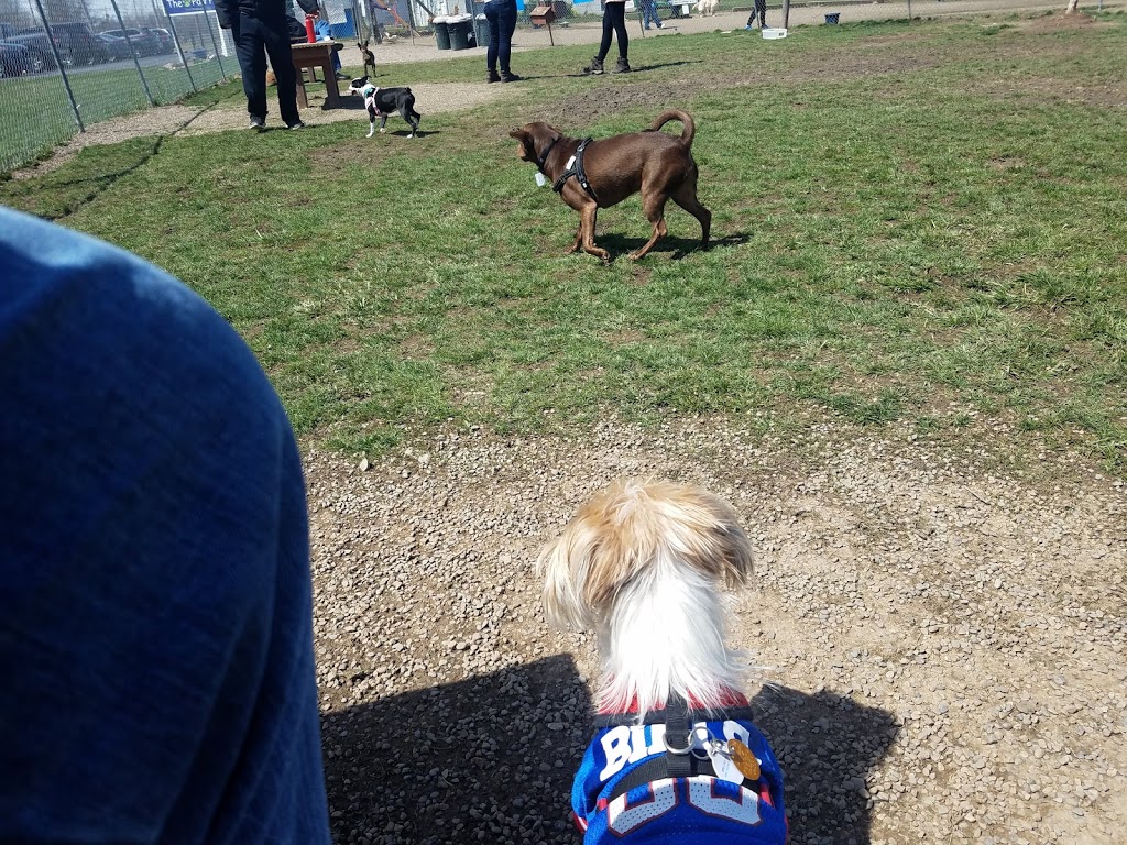The Paw Park - Off-Leash Dog Park | 550 Smith Rd, East Amherst, NY 14051, USA | Phone: (716) 830-8853