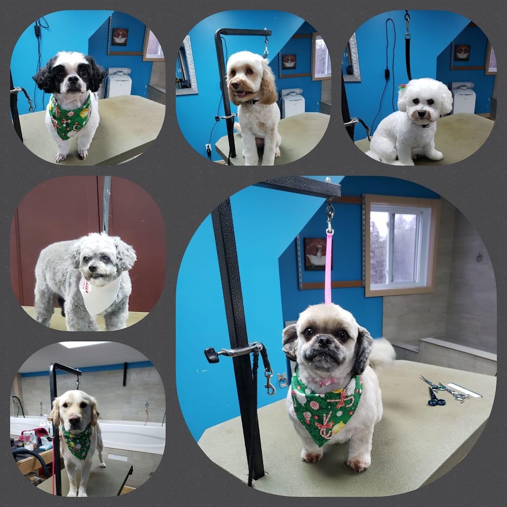 Healthy Hounds Pet Spa | 1412 Ashton Station Rd, Ottawa, ON K0A 1B0, Canada | Phone: (613) 862-0552