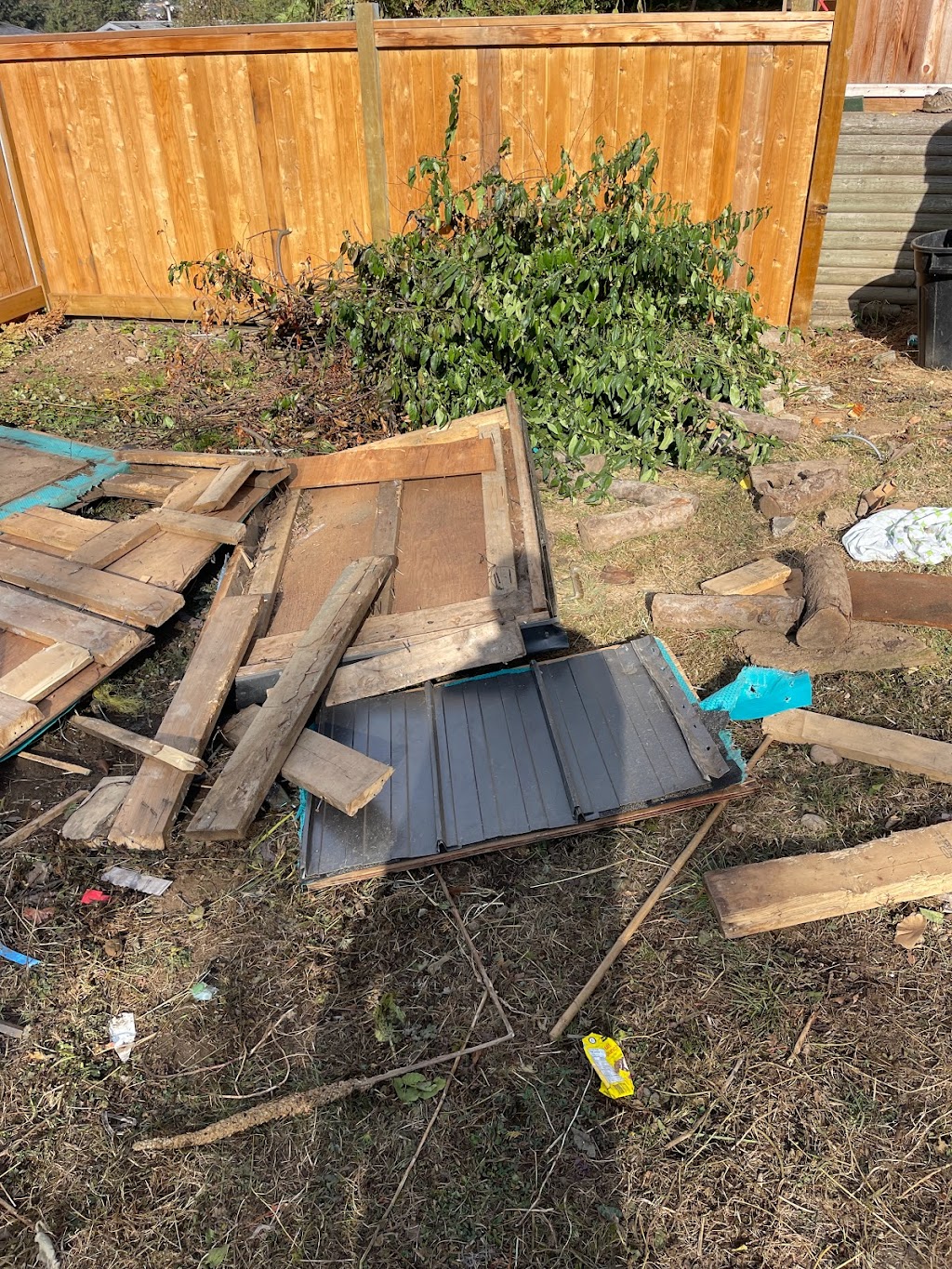 Trash B Gone | 32351 Clinton Ave, Abbotsford, BC V2T 5B3, Canada | Phone: (604) 825-0066