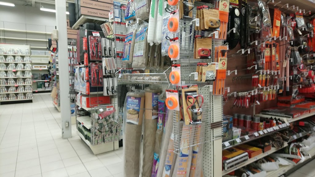 Canadian Tire | 20215 Chatham St N, Blenheim, ON N0P 1A0, Canada | Phone: (519) 676-8181
