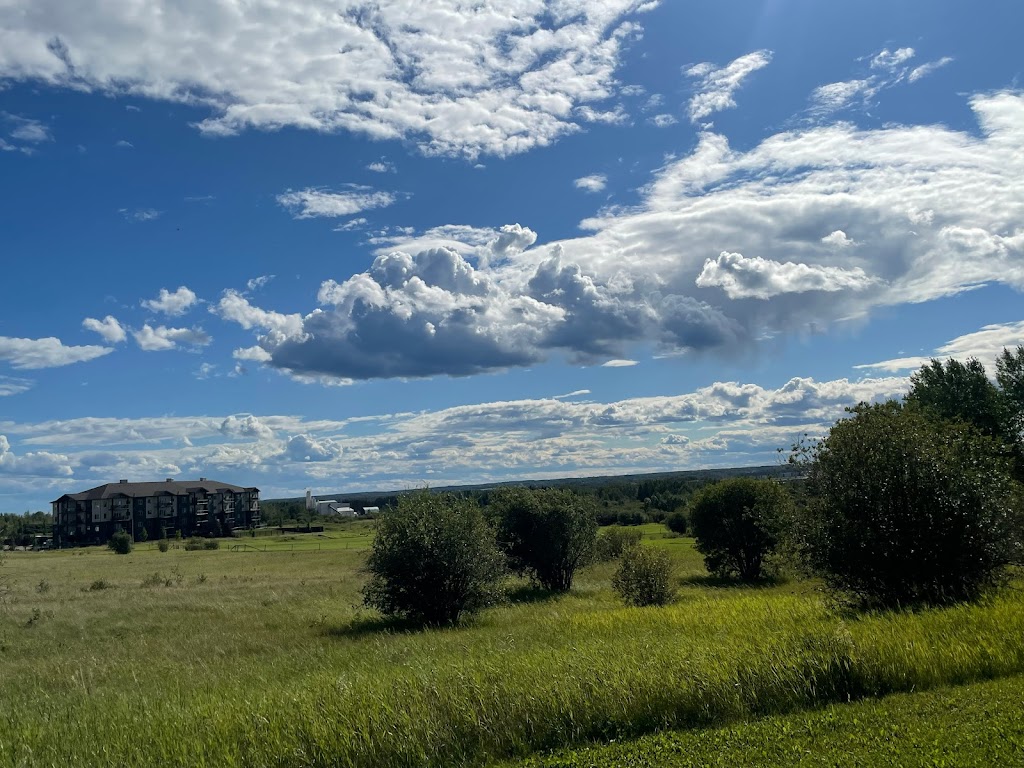Drayton Valley Thunder | 5737 45 Ave, Drayton Valley, AB T7A 1R3, Canada | Phone: (780) 542-7845