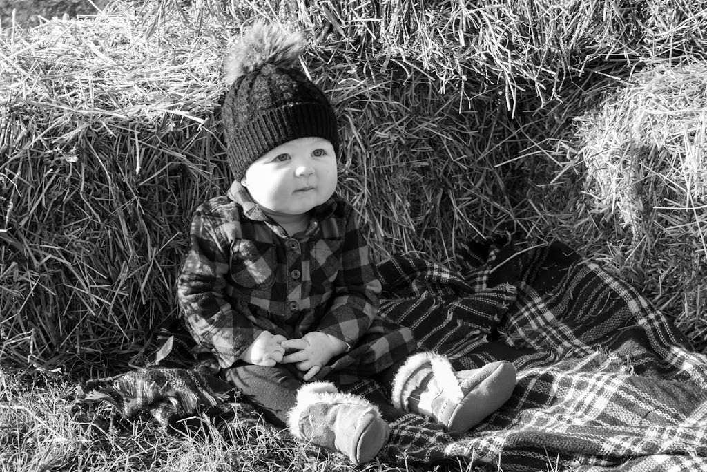 Michael Peitz Custom Photography | 1170 Narrows Rd, Gravenhurst, ON P1P 1R2, Canada | Phone: (226) 568-0474