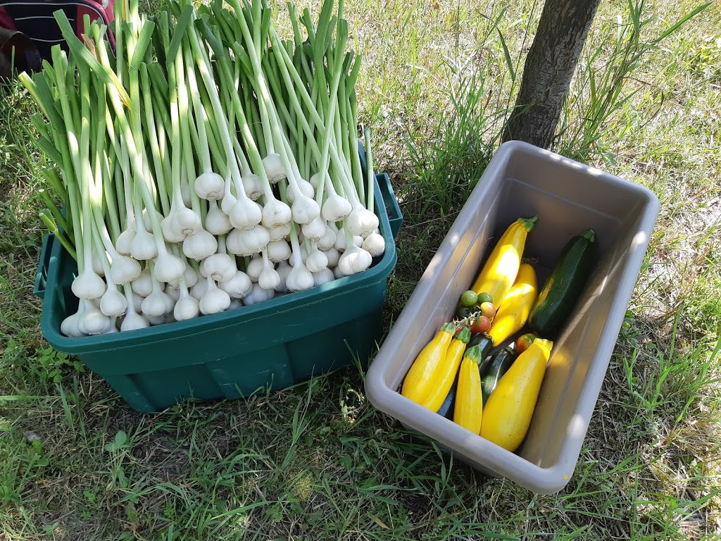 Jardin Paladin Garden inc. | Sur le coin de la 220 et, Chemin de la Colline, Orford, QC J1X 6R4, Canada | Phone: (819) 574-3093