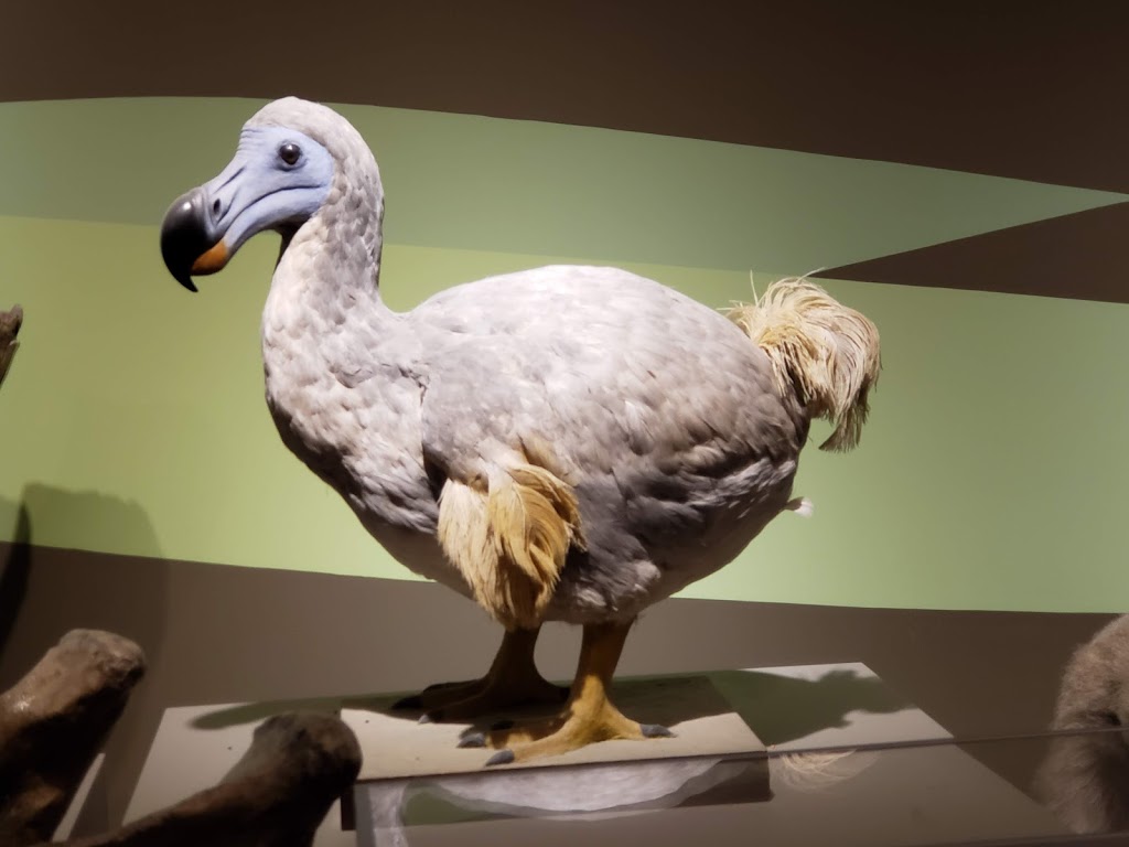 Buffalo Museum of Science | 1020 Humboldt Pkwy, Buffalo, NY 14211, USA | Phone: (716) 896-5200