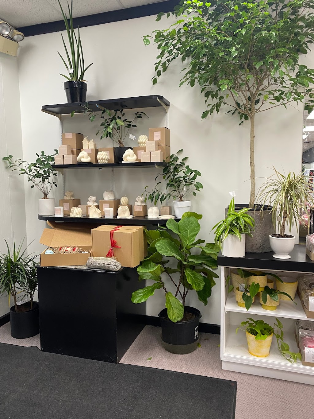 Givopoly | 1400 Bank St Unit 1, Ottawa, ON K1H 7Y9, Canada | Phone: (613) 702-1132