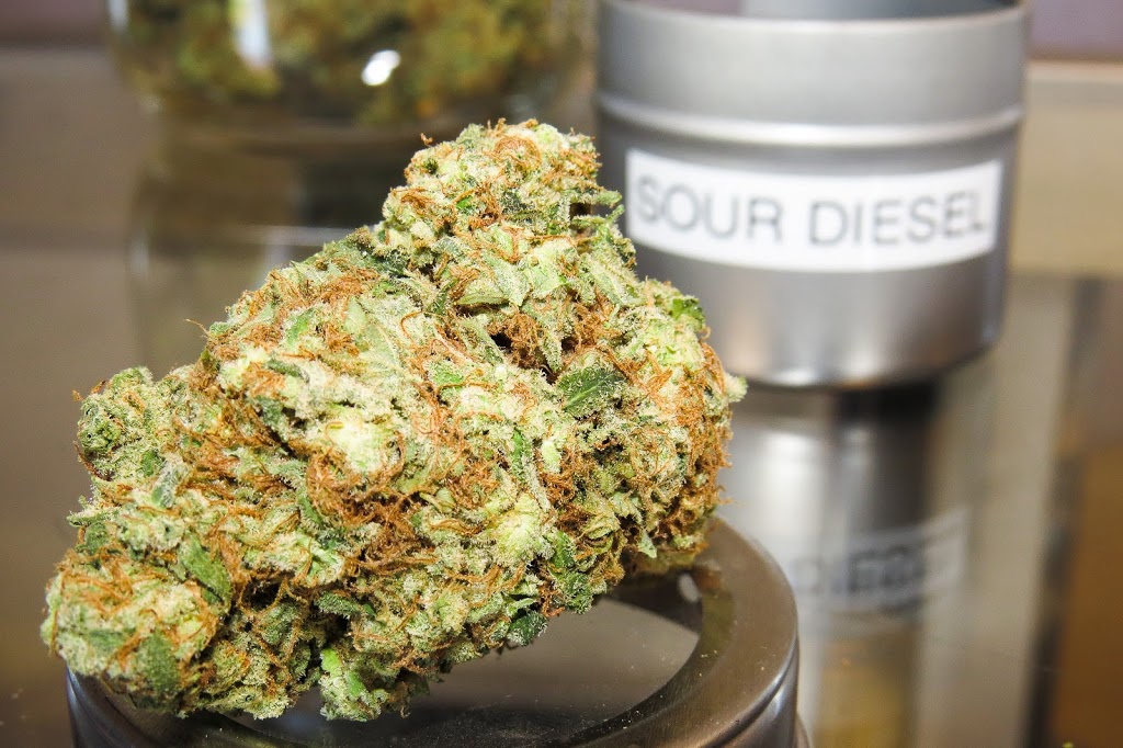 Honey Gramz | 6103 Bodkin Rd, Southwold, ON N0L 2G0, Canada | Phone: (226) 235-7196