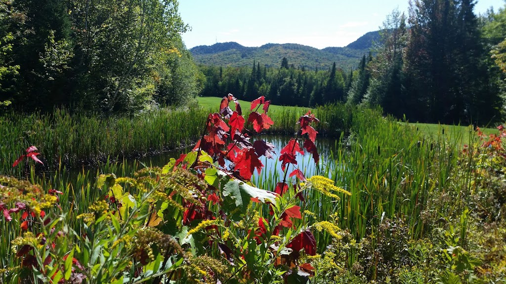 Club de Golf St-Donat | 92 Rte 329, Saint-Donat-de-Montcalm, QC J0T 2C0, Canada | Phone: (819) 424-2658