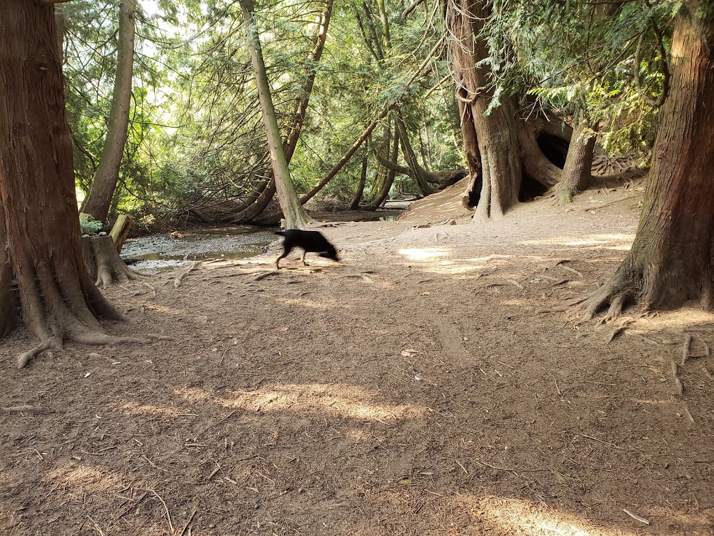 Stoney Creek Park | Latimer St, Abbotsford, BC V2S 7J8, Canada | Phone: (604) 853-2281