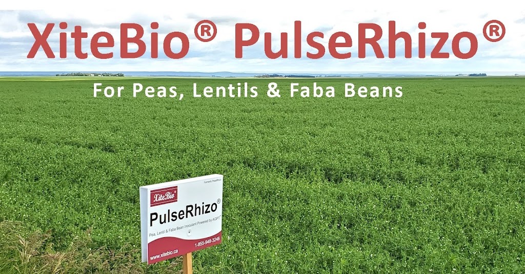 XiteBio Technologies | 3194 St Marys Rd, Winnipeg, MB R2N 4A8, Canada | Phone: (204) 257-0775