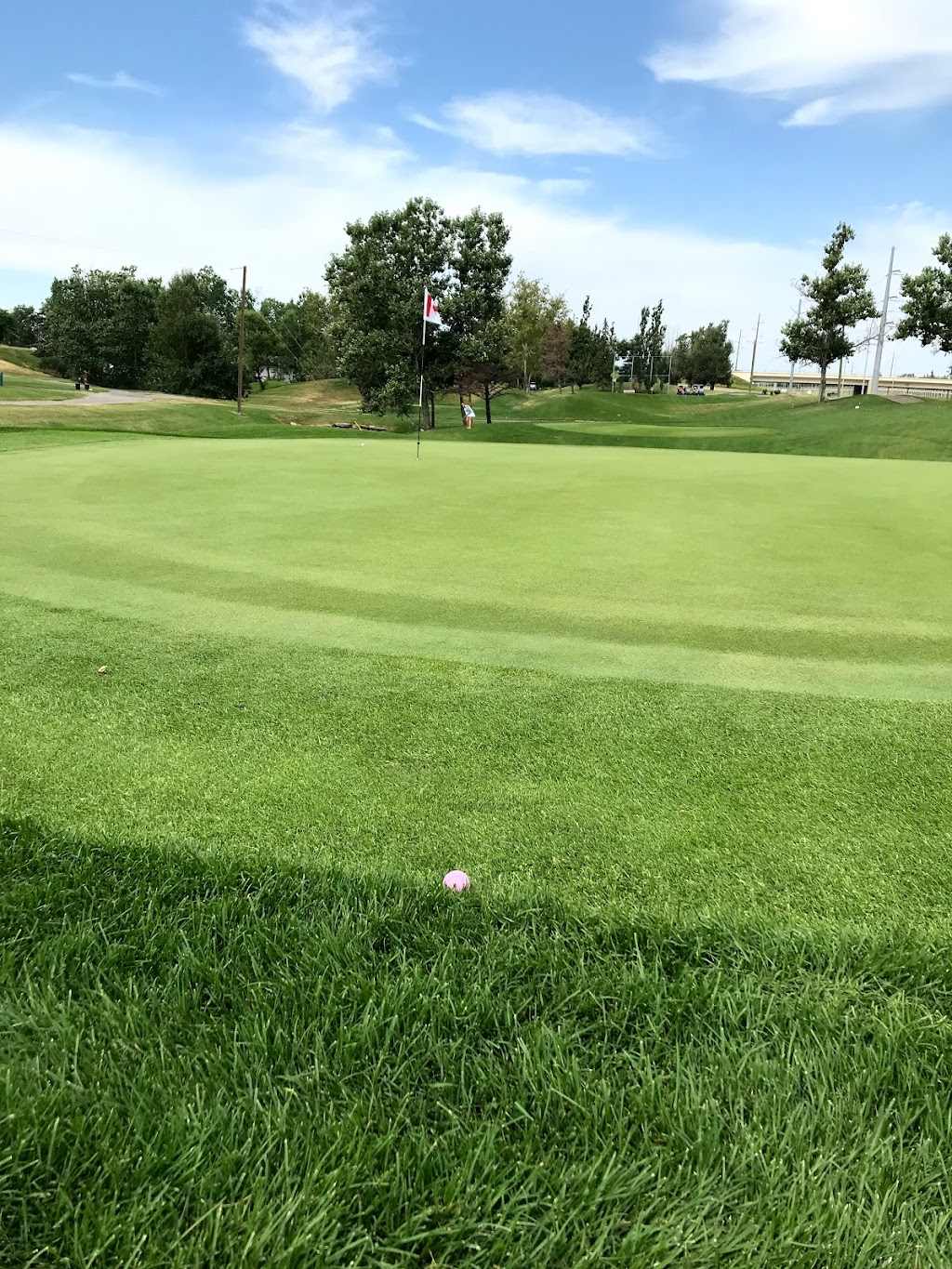 Eaglequest Golf Douglasdale | 7 Douglas Woods Dr SE, Calgary, AB T2Z 1K2, Canada | Phone: (403) 279-7913