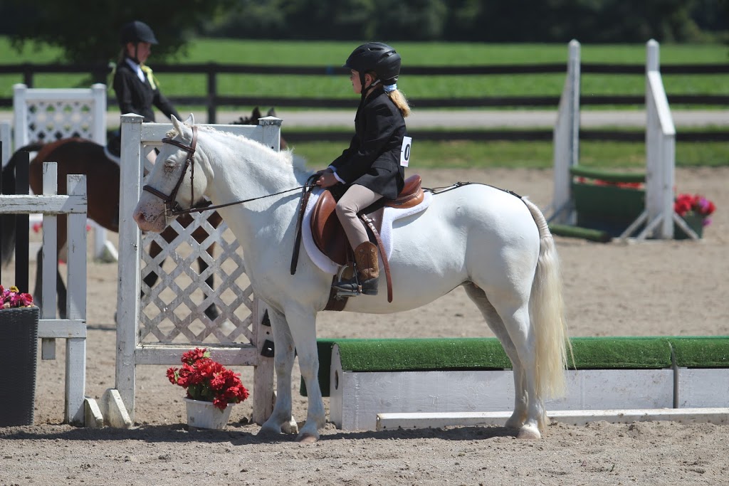 Millside Stables | 675671 16 Line, Bright, ON N0J 1B0, Canada | Phone: (519) 536-1607