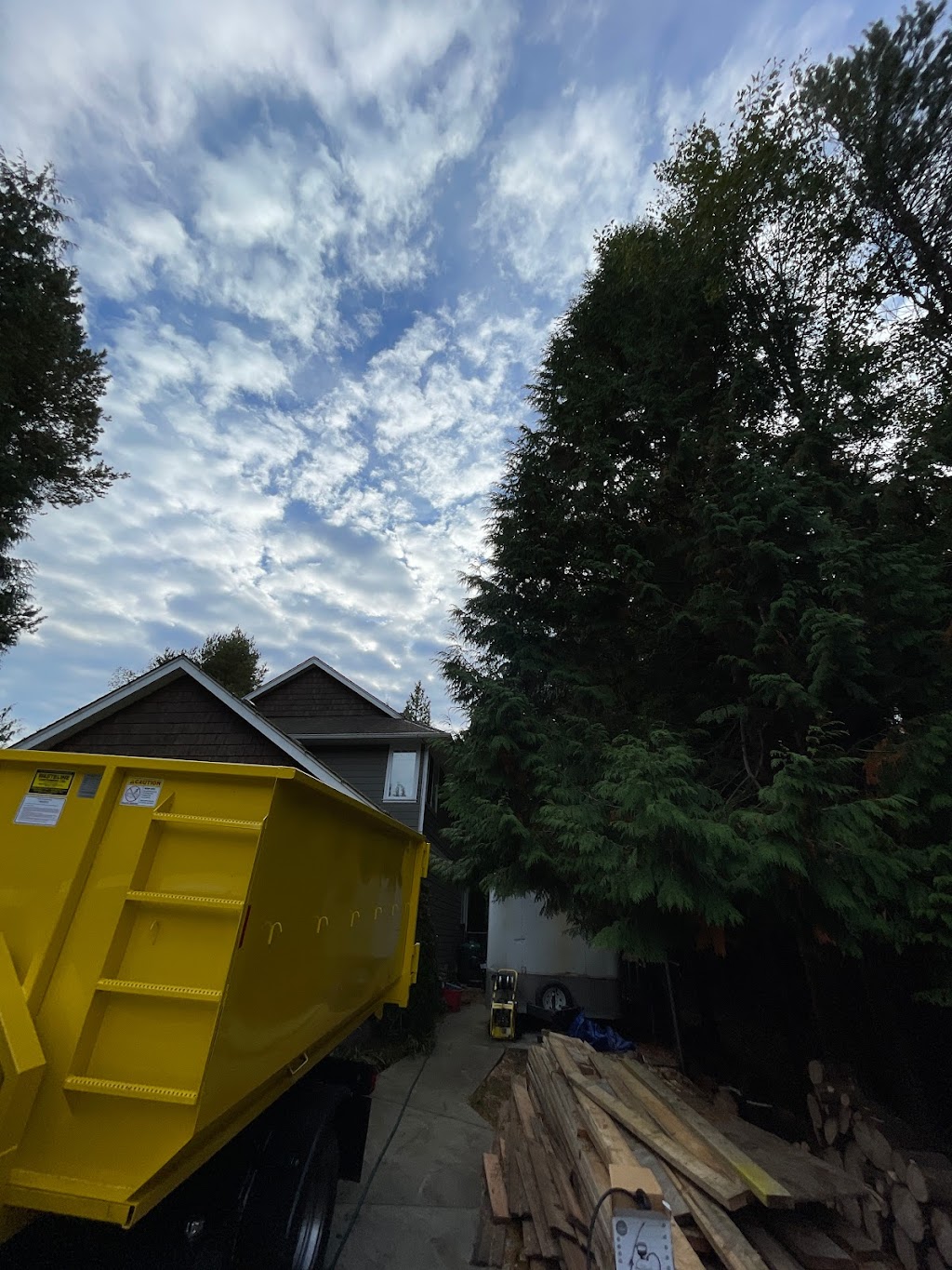 Clear Choice Tree Service | 6389 Homestead Ave, Sechelt, BC V0N 3A7, Canada | Phone: (604) 885-8068