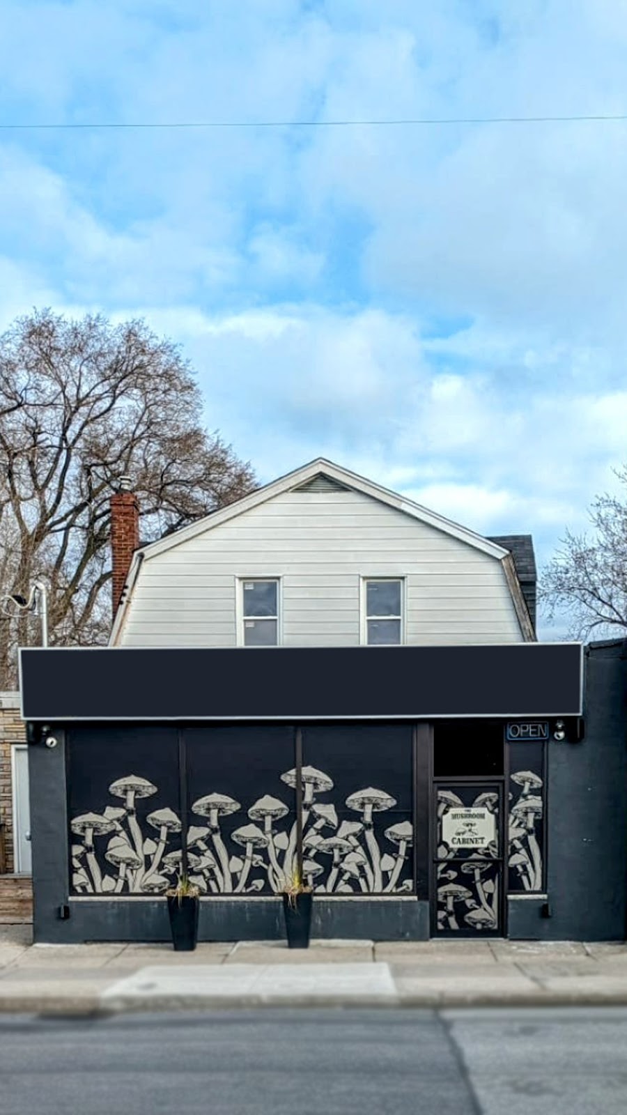 The Mushroom Cabinet | 1459 Main St E, Hamilton, ON L8K 1C5, Canada | Phone: (289) 556-4985