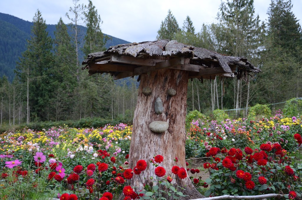 Shangrila Farm | 13842 Spratt Rd, Fraser Valley F, BC V2V 4J1, Canada | Phone: (604) 998-7843