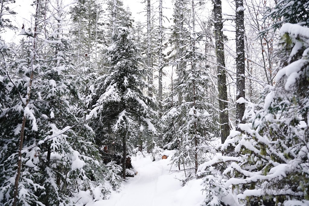 Mark Arendz Provincial Ski Park at Brookvale Nordic | 1800 PE-13, North Wiltshire, PE C0A 1Y0, Canada | Phone: (902) 658-7862