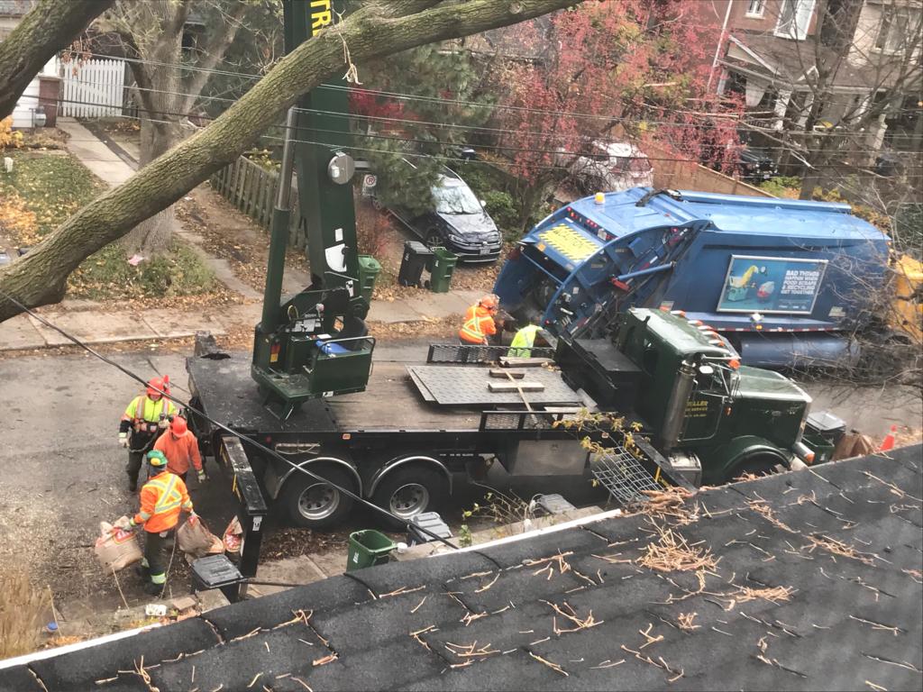 Weller Tree Service Ltd | 18 Circle Ridge Dr, Keswick, ON L4P 2G9, Canada | Phone: (905) 476-4593