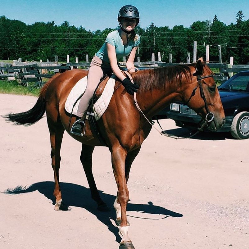 Les Ecuries Knight Stables | 104 Chem. Mclinton, Wakefield, QC J0X 3G0, Canada | Phone: (819) 930-0532