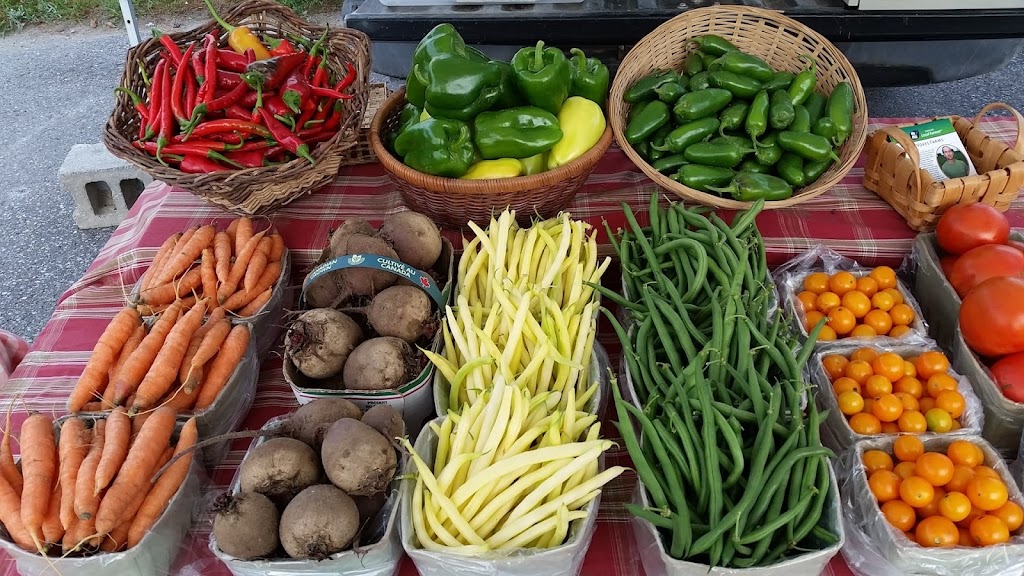 Campbellford Farmers Market | 66 Front St S, Campbellford, ON K0L 1L0, Canada | Phone: (705) 653-2546