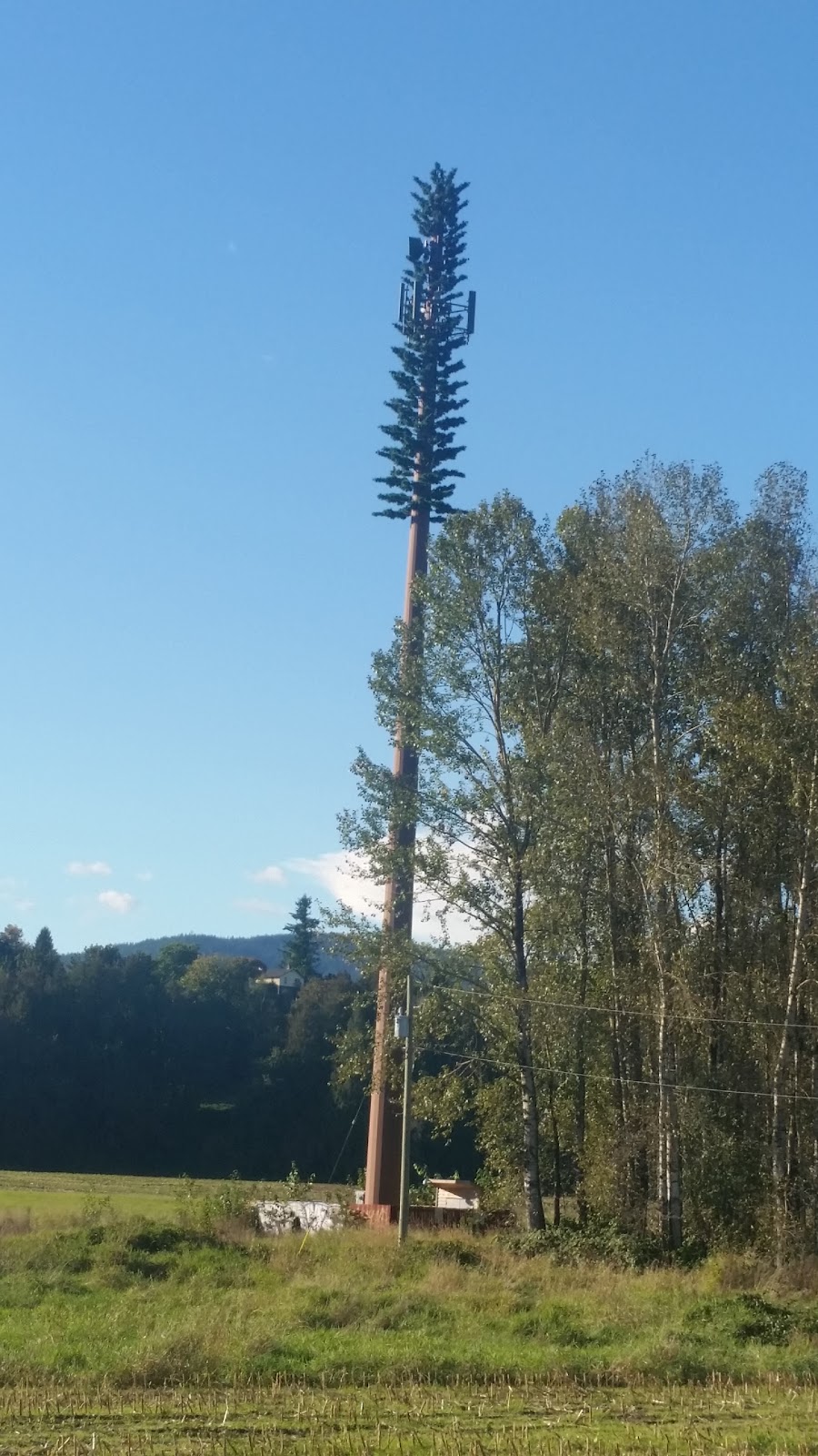 Xa: Ytem Interpretive Centre | 35087 Lougheed Hwy., Mission, BC V2V 6T1, Canada | Phone: (604) 824-3211