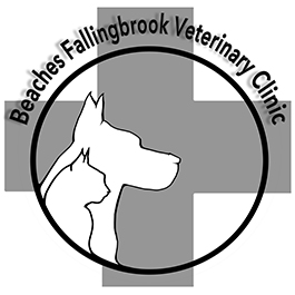 Beaches-Fallingbrook Veterinary Clinic | 1210 Kingston Rd, Scarborough, ON M1N 1N8, Canada | Phone: (416) 792-7421