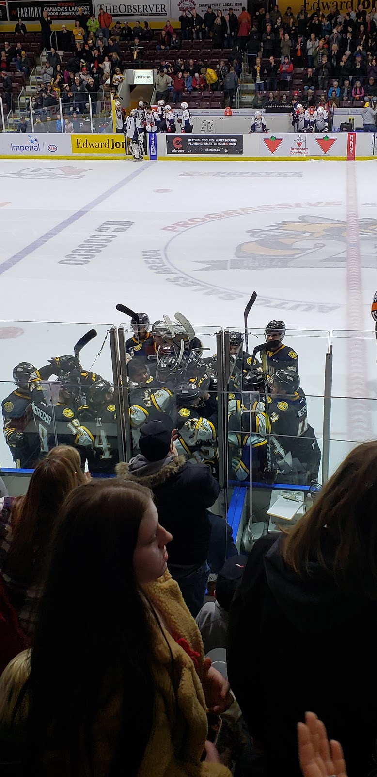 Sarnia Sting Hockey Club | 1455 London Rd, Sarnia, ON N7S 6K7, Canada | Phone: (519) 541-1717