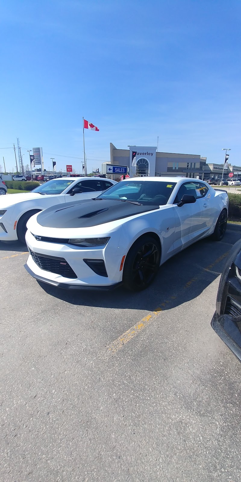 Murray Auto Group | 1700 Waverley St, Winnipeg, MB R3T 5V7, Canada