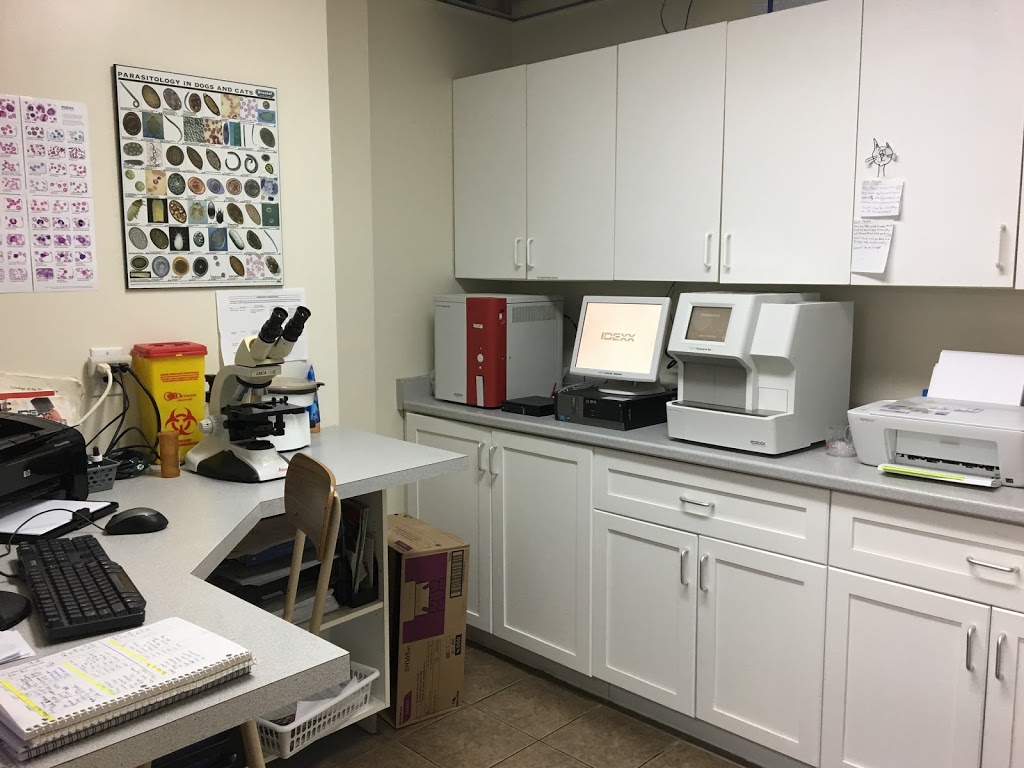 Uxbridge Veterinary Hospital | 6002 Owen Rd, Uxbridge, ON L9P 1R1, Canada | Phone: (905) 852-3319