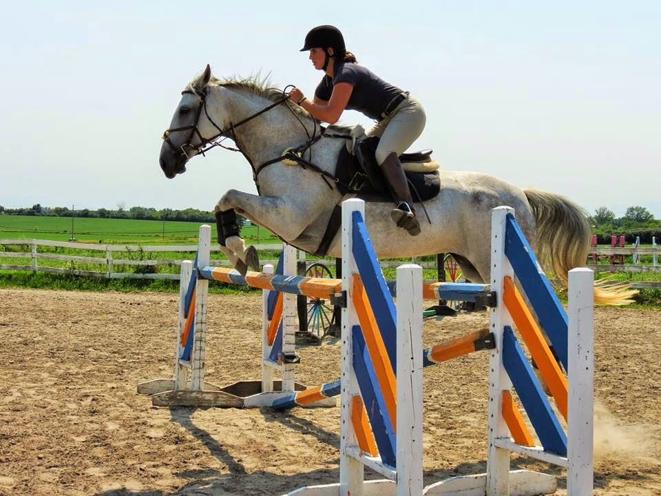 Springfield Stables Riding Academy | 7143 Ashburn Rd, Whitby, ON L1M 1L6, Canada | Phone: (905) 655-4280