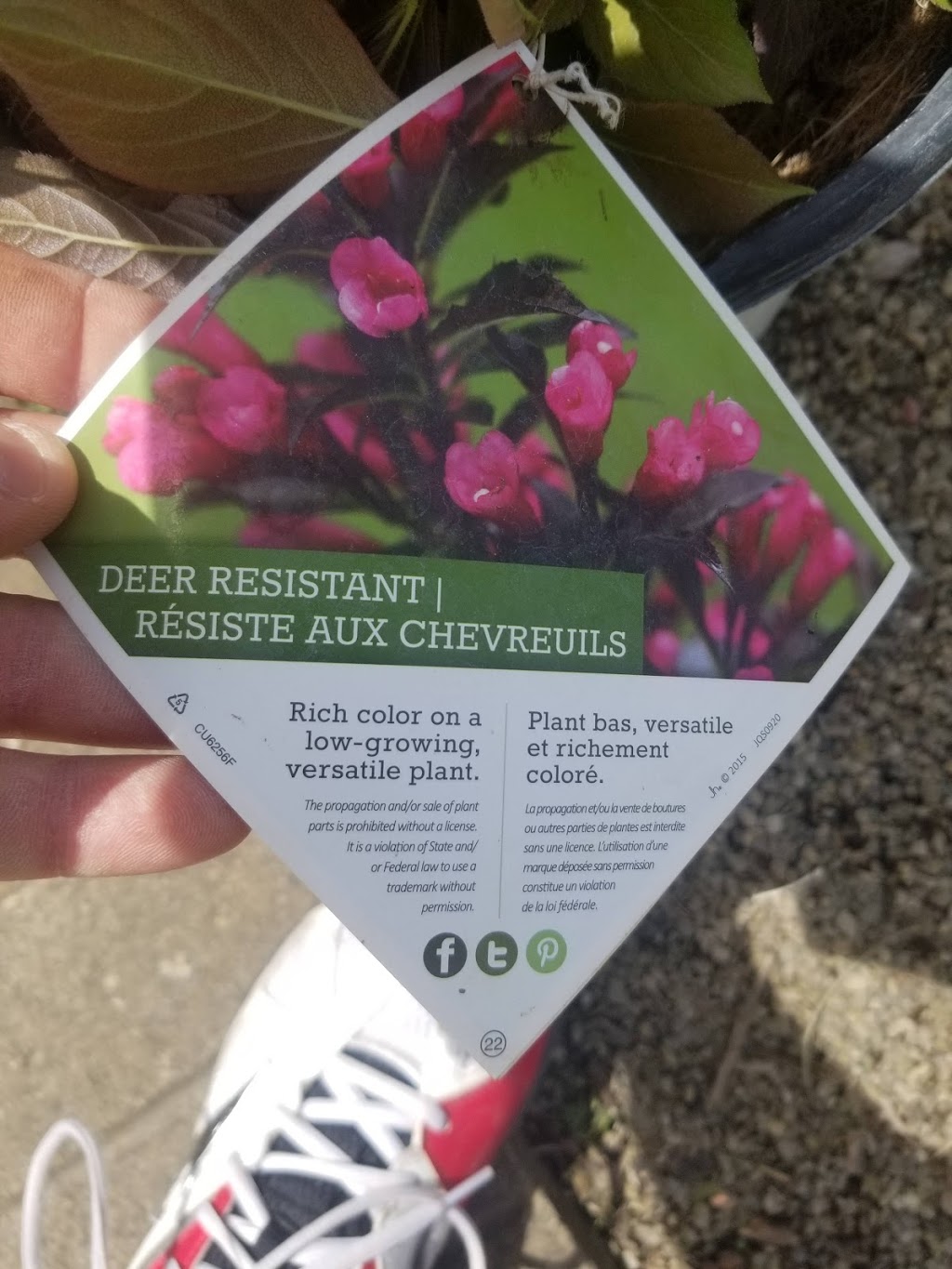 Cambridge Garden Centre | 1718 Morrison Rd, Cambridge, ON N1R 5S2, Canada | Phone: (519) 622-1173