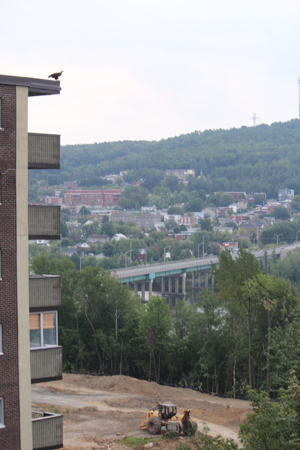 Les Jardins Hauterive | 215 Rue Bellevue, Sherbrooke, QC J1J 3Z2, Canada | Phone: (819) 566-4343
