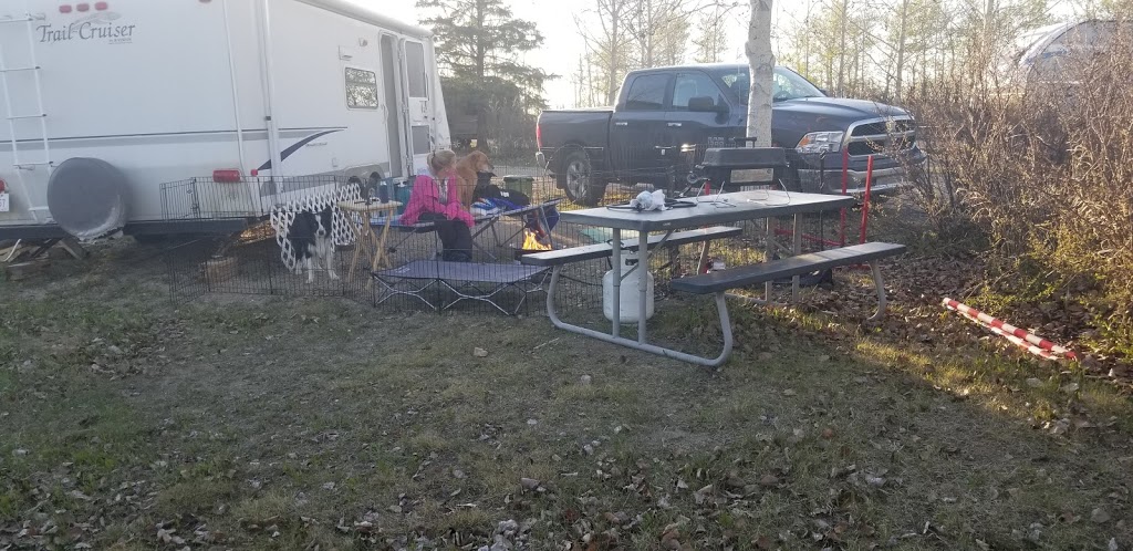 Countryview Motel & RV Park | Hwy 2 S, Prince Albert, SK S0J 3H0, Canada | Phone: (306) 764-2374