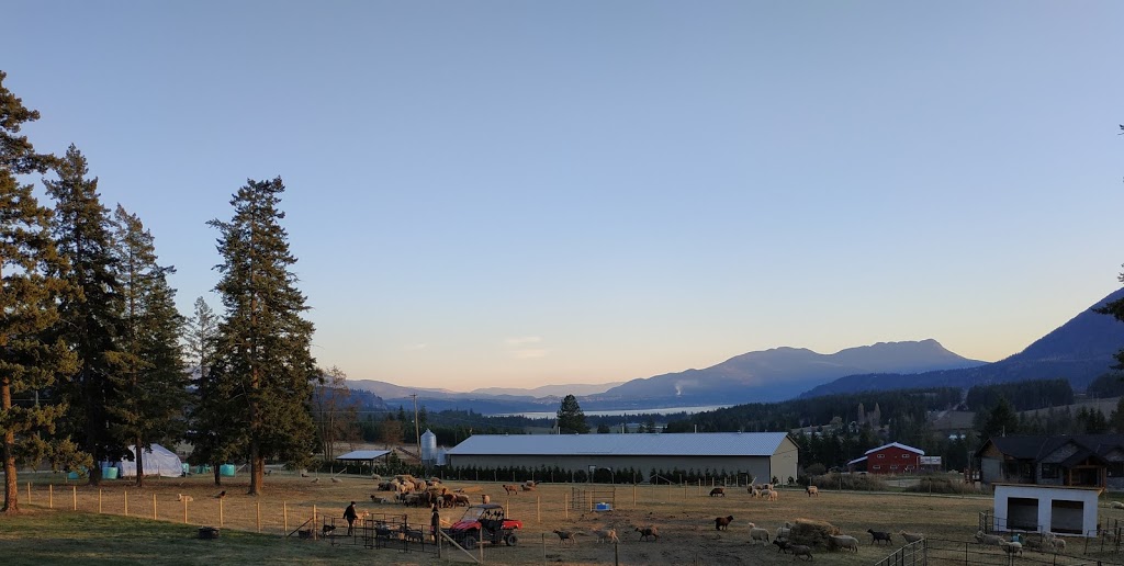 Disdero Ranch | 1235 Tappen Notch Hill Rd, Tappen, BC V0E 2X3, Canada | Phone: (604) 219-8601
