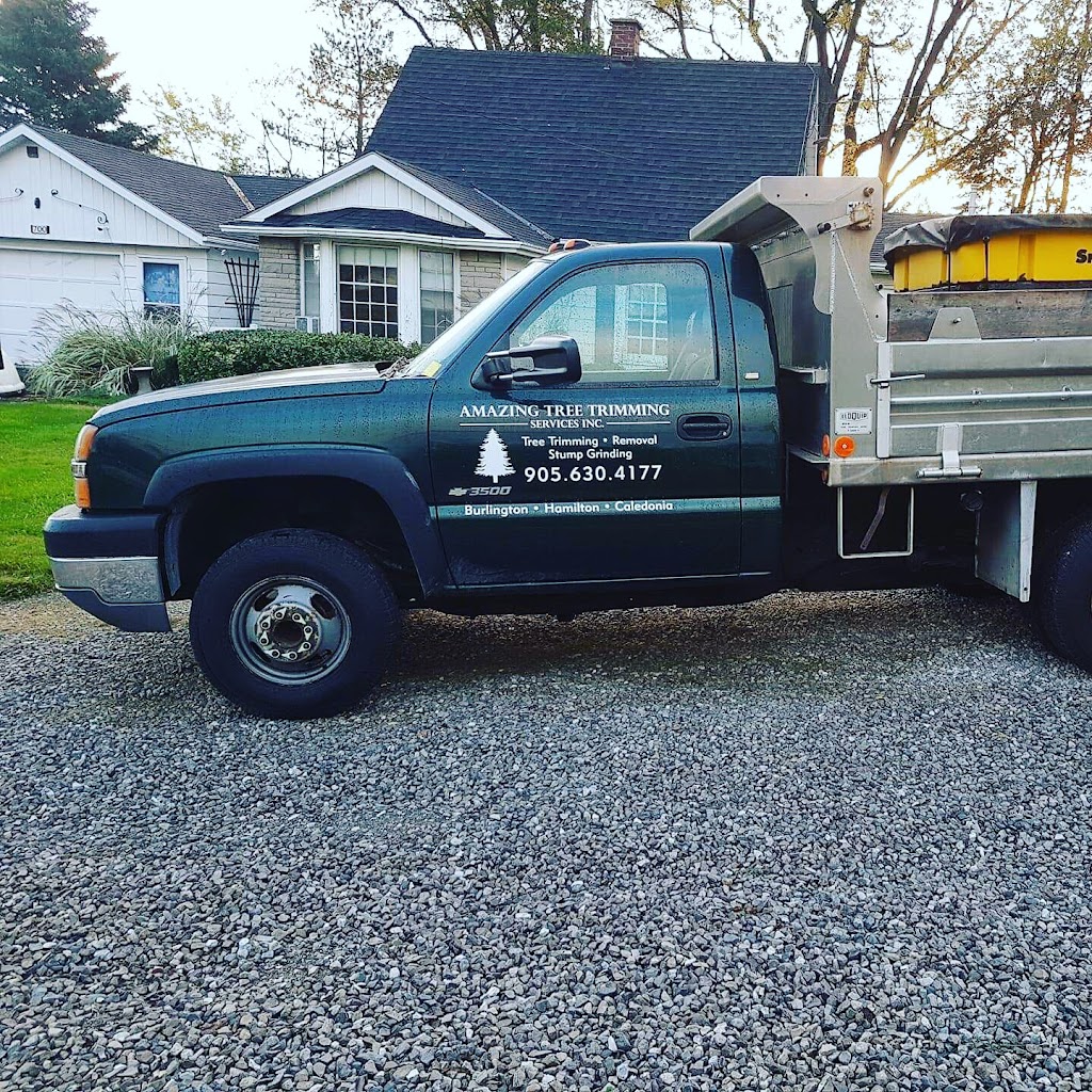 Amazing Tree Trimming Services Inc | 700 ON-6, Caledonia, ON N3W 1M6, Canada | Phone: (905) 630-4177