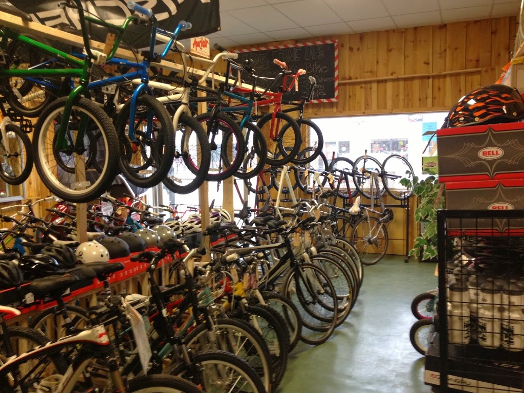 little ed's ski & bike shop