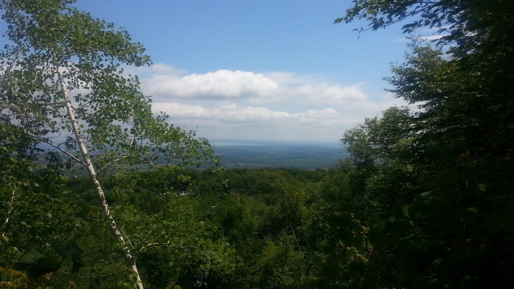 Blue Mountain Golf | 706 Tenth Line, Collingwood, ON L9Y 5H4, Canada | Phone: (705) 445-3911