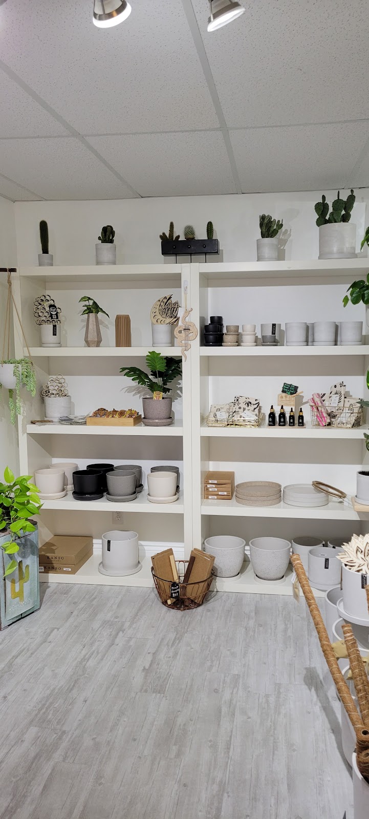 The Licit Garden | 155 High St, Southampton, ON N0H 2L0, Canada | Phone: (226) 435-2190