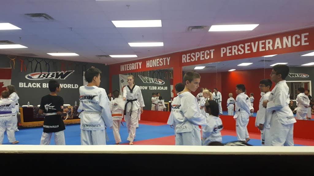 Black Belt World Barrie East | 201 Hurst Dr #6, Barrie, ON L4N 8K8, Canada | Phone: (705) 812-8007