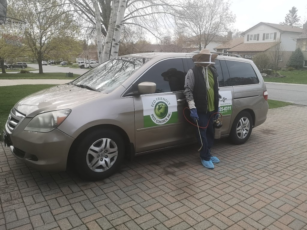 Eco-Friendly Pest Control Inc | 64 Parkview Heights, Trenton, ON K8V 6P5, Canada | Phone: (647) 525-6311