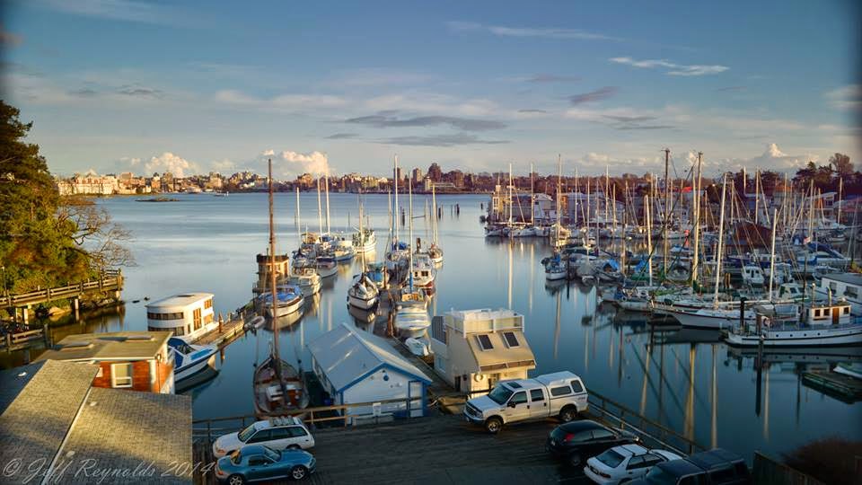 Archipelago | 525 Head St, Victoria, BC V9A 5S1, Canada | Phone: (250) 383-4535