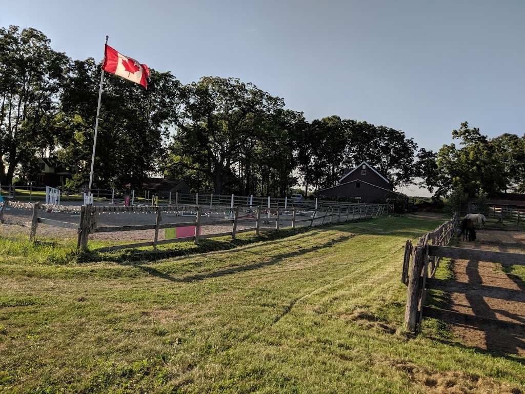 Four Corners Equestrian | 10176 Belmont Rd, St Thomas, ON N5P 3T3, Canada | Phone: (519) 902-8584