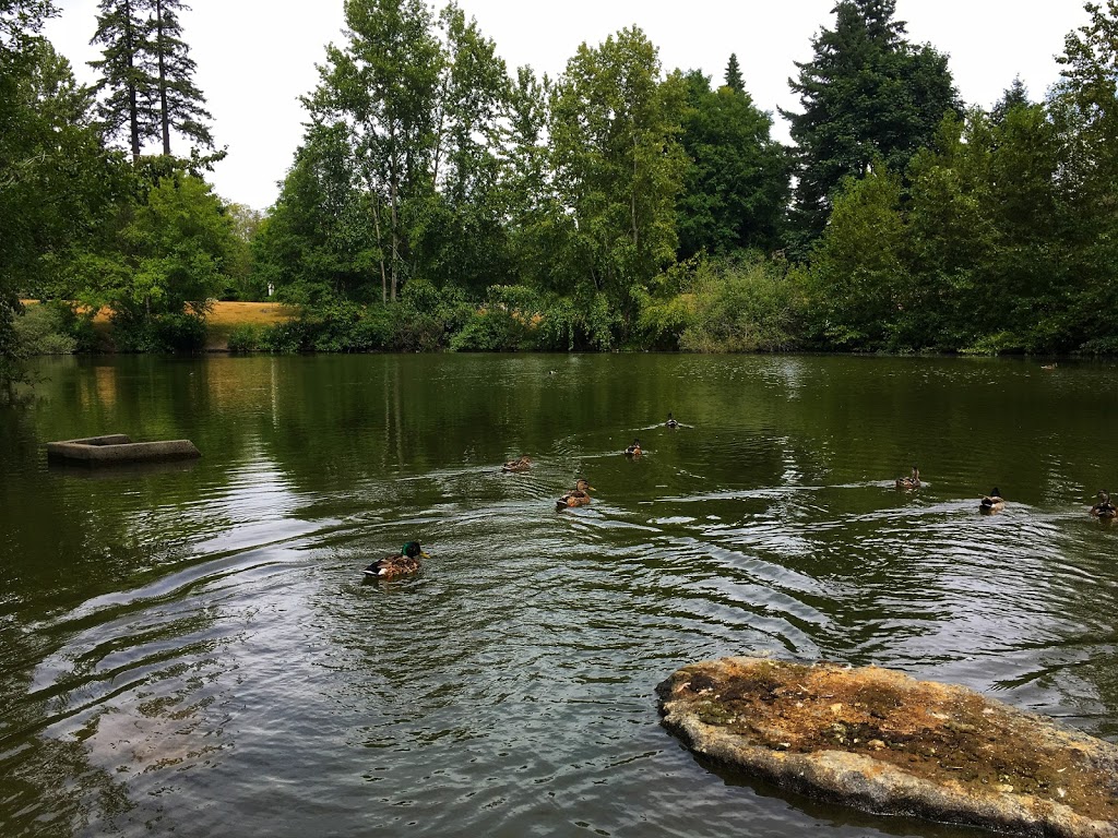 Southmere Village Park | 1701 Martin Dr, Surrey, BC V4A 7A8, Canada