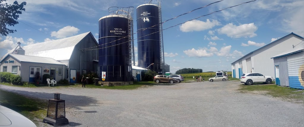 Ferme Champy | 205 Rue Principale, Upton, QC J0H 2E0, Canada | Phone: (450) 549-4510