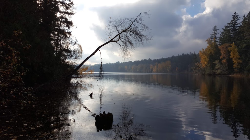 Hamsterly Beach at Elk/Beaver Lake Regional Park | brookleigh and, Sayward Rd, Saanich, BC V8Z 3K1, Canada