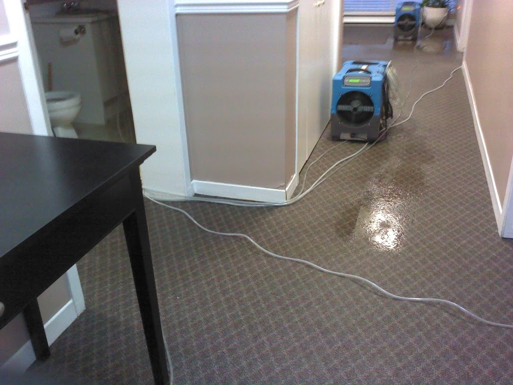 Flooded Basement Cleanup Toronto & GTA | 12 Upjohn Rd, North York, ON M3B 2V9, Canada | Phone: (416) 358-6666