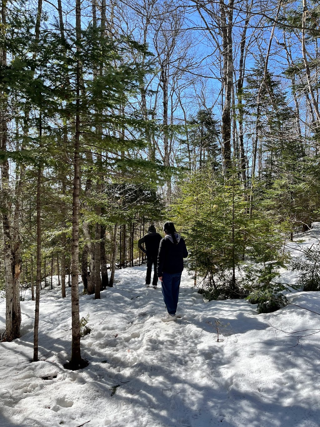 Strathgartney Provincial Park | Bonshaw, PE C0A 1C0, Canada | Phone: (902) 675-7476