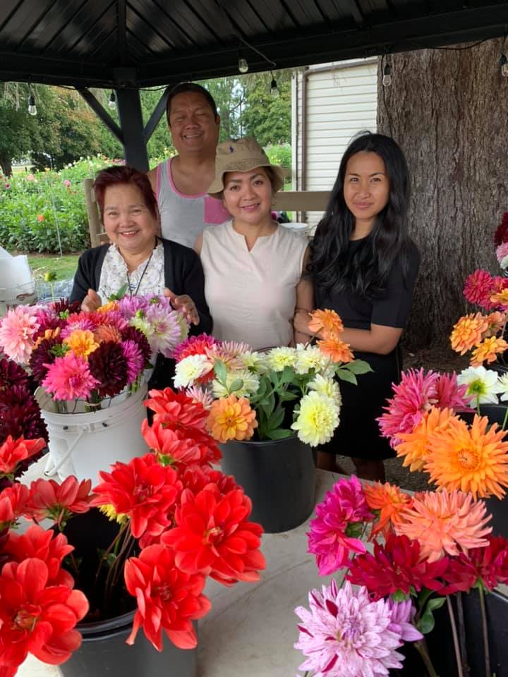 Moore Blooms Dahlias | 6953 Lickman Rd, Chilliwack, BC V2R 4A9, Canada | Phone: (604) 845-4745