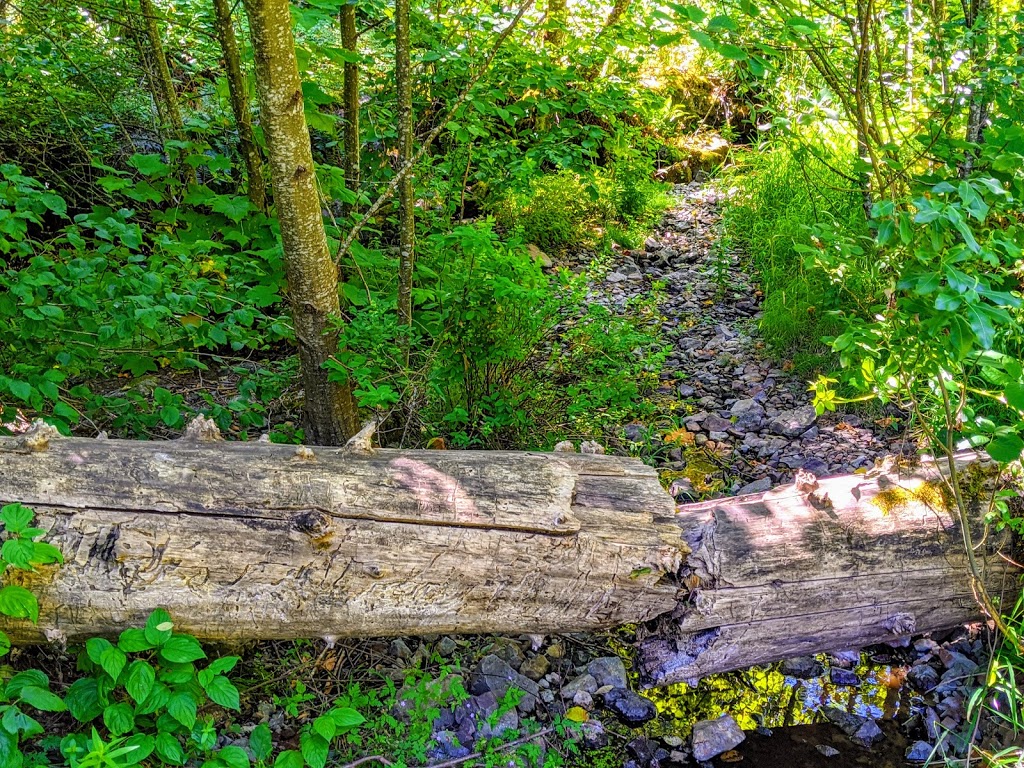 Thacker Regional Park | 20840 Union Bar Rd, Hope, BC V0X 1L1, Canada | Phone: (604) 702-5000