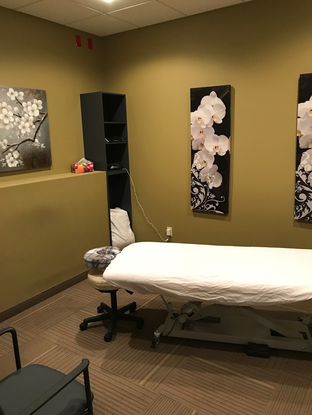 PA Physiotherapy | 1020 Lorimer Blvd #301, Winnipeg, MB R3P 1C7, Canada | Phone: (204) 505-4352