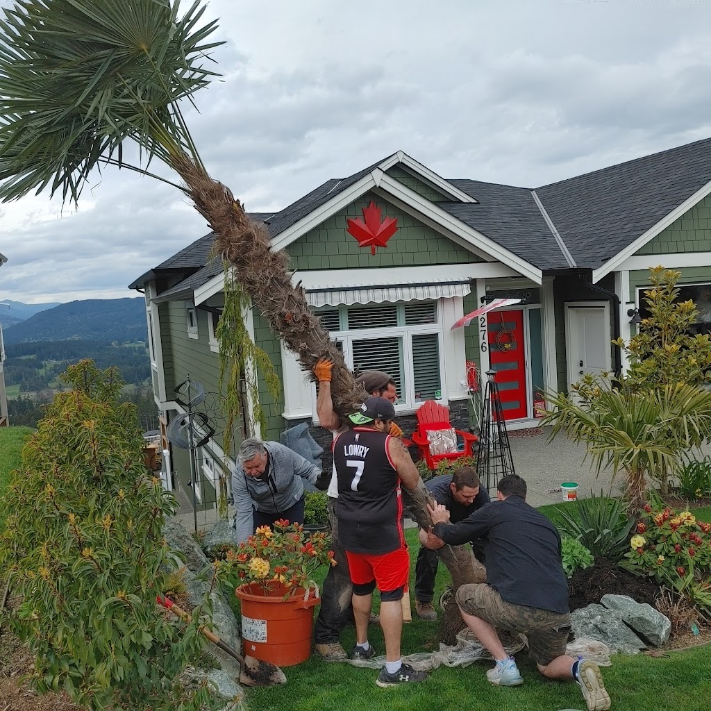 Cool Plants | 7081 Central Saanich Rd, Saanichton, BC V8M 1Y3, Canada | Phone: (250) 727-8444